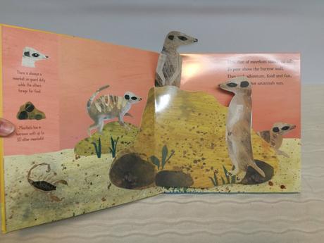 Across the savannah  nau20, 