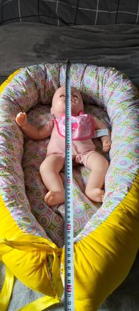 Hniezdo, šírka (cm): 40,dĺžka (cm): 80