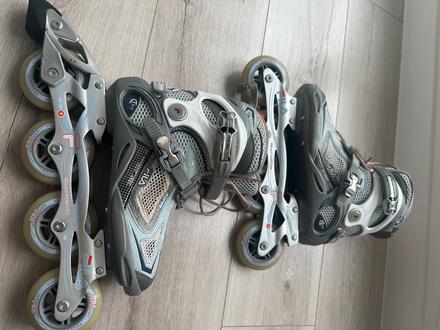 In line kolieskove korcule 37,5, fila,37