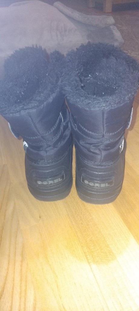 Snehule sorel, sorel,29