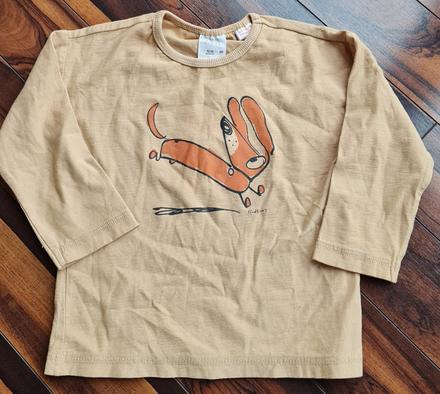 Triko jazvecik 428, zara,86