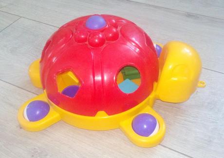 Vkladačka korytnačka, 