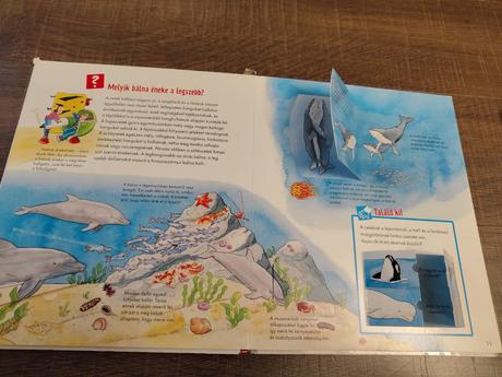 Mi micsoda junior 2x konyv, 