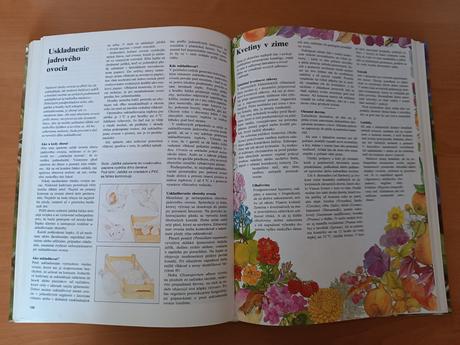 Jeseň v záhrade (1982), 