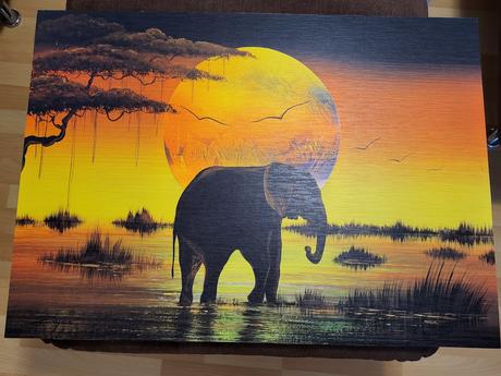 Obraz slon, 
