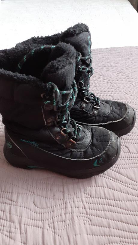 Snehule loap, v.29, loap,29