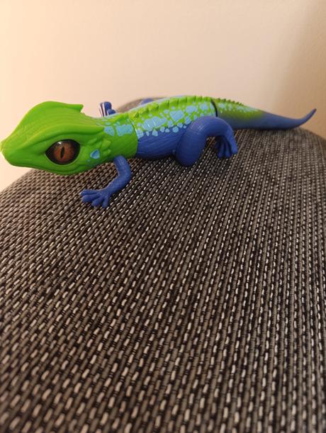 Chodiaca jašterica, 