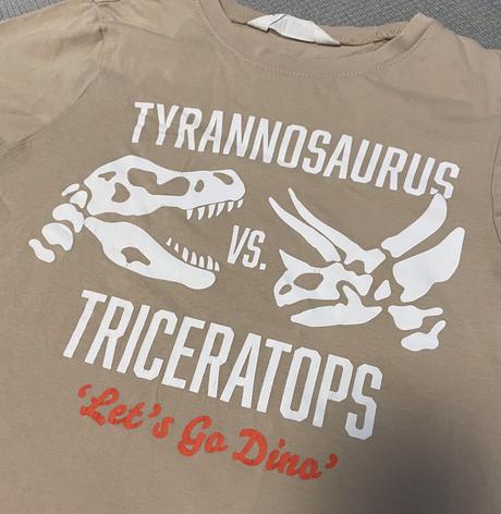 Tričko s dinosaurom, h&m,122