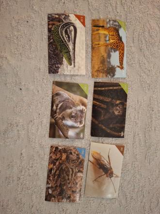 Nálepky animal kingdom, 