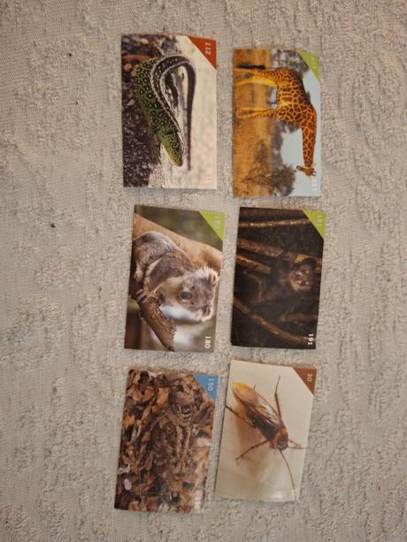 Nálepky animal kingdom, 