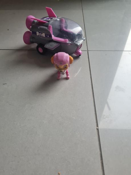 Paw patrol skye, 