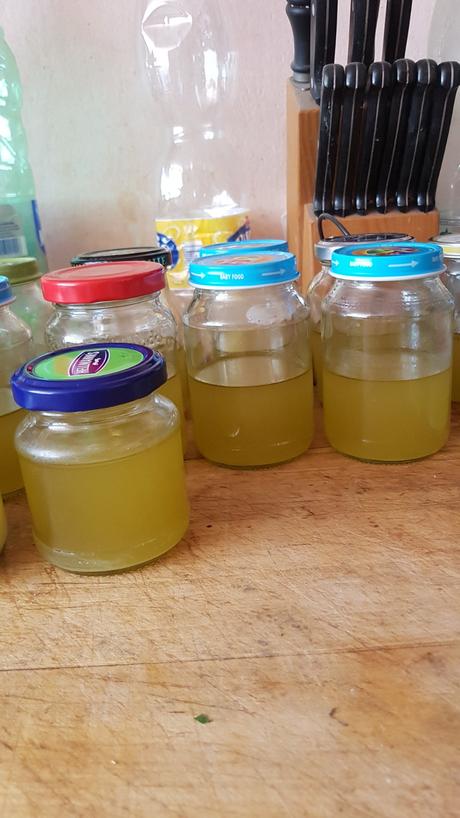 Rýmovník, po slovensky nádchovník- mastička., 