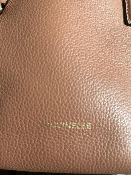 Coccinelle, coccinelle