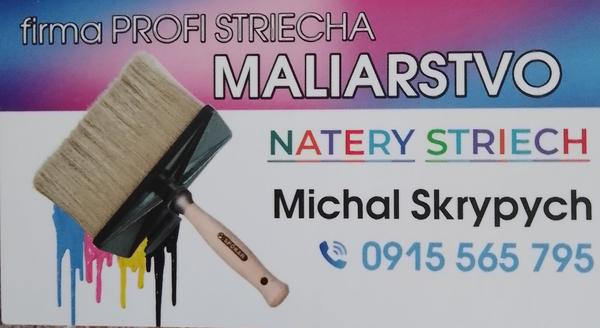 Skúsenosti s firmou Profi Striecha: Aké sú?