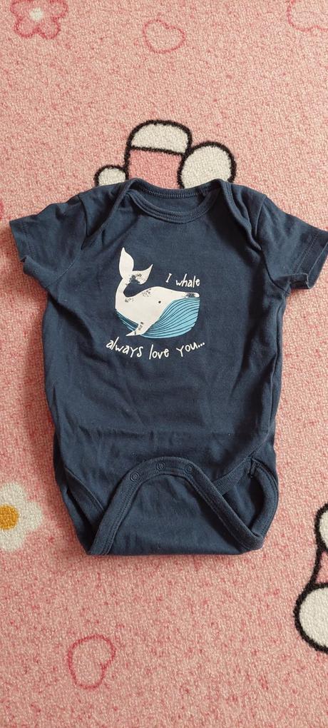 Body v62/68, lupilu,68