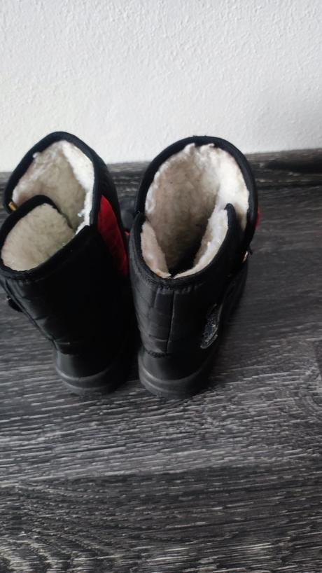 Predám snehule č. 31, 31