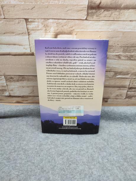 A hory odpovedali ozvenou khaled hosseini, 