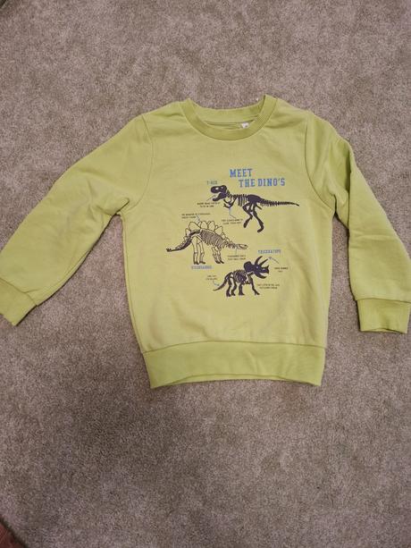 Mikina s dinosaurami, c&a,116