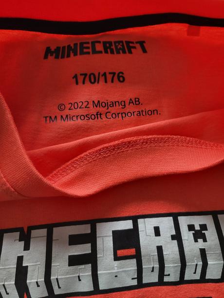 Tielko minecraft, 170