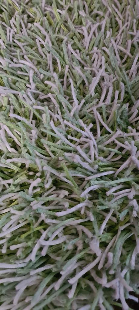 Koberce vysoky vlas, 