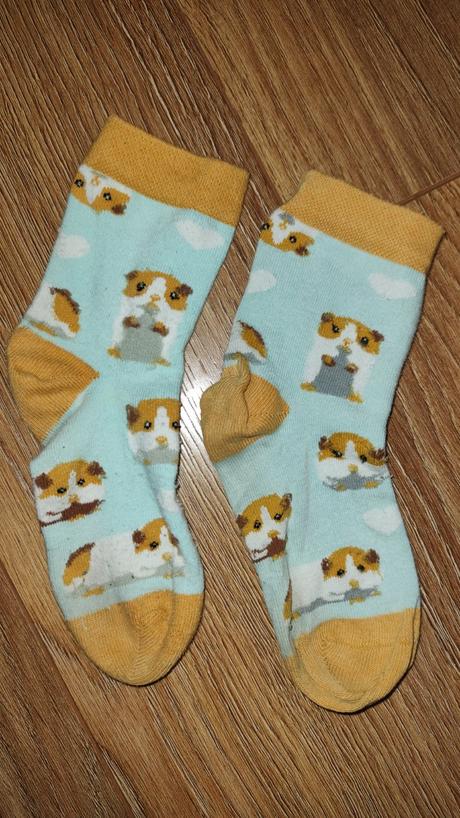 Ponožky morča dedoles 27-30, 30