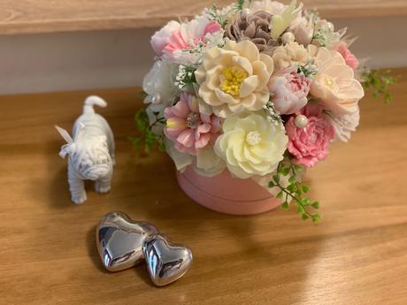 Mydlova kytica gratulačná, 