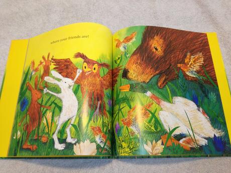 Petr horacek the best place in the world hb nau22, 