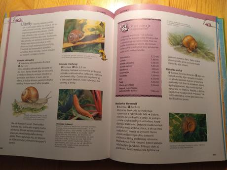 Detský lexikón zvierat - 10 eur,