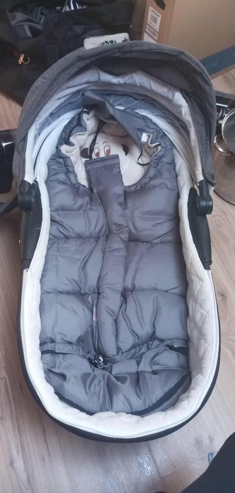 Kočik camarelo, camarelo,camarelo malaga