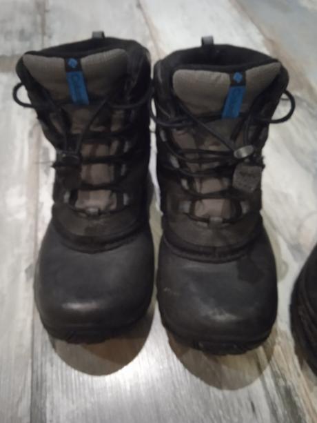 Snehule columbia, columbia