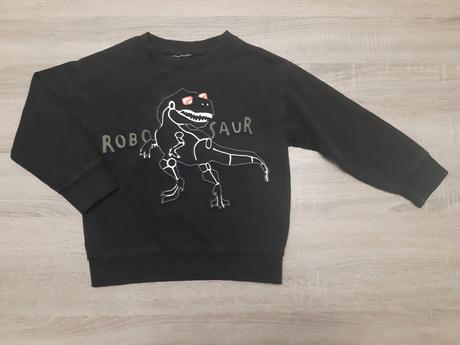 Pulover dino, reserved,110