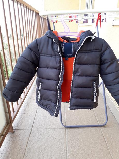 Bunda sivohneda, terranova,98