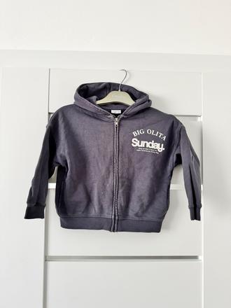 Mikinka zara, zara,104