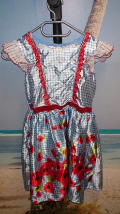 Dorothy z krajiny oz karnevalové šaty 134/140, 