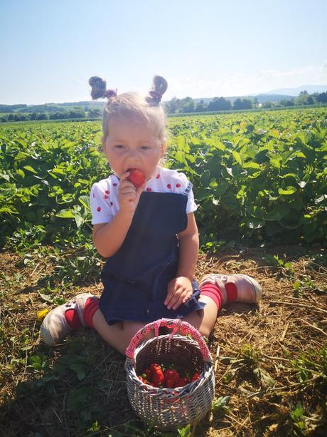 Body jahôdky, h&m,98