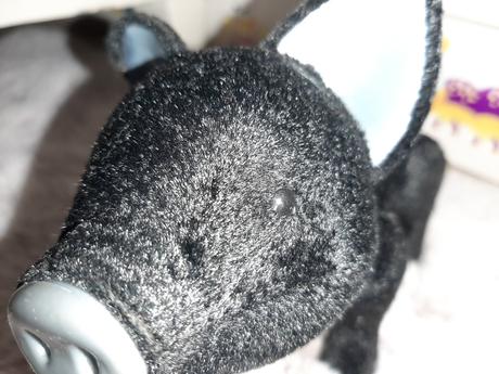 Hovoriace prasiatko lilith, 