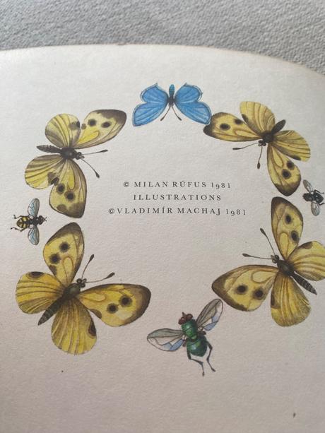 Mechúrik koščúrik s kamarátmi a lp platňa 1981,