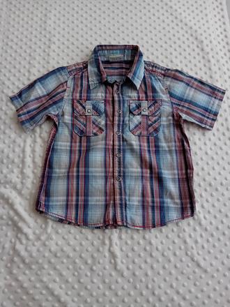 Kosela, topolino,116