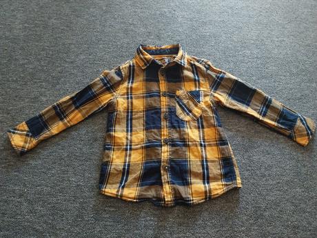 Kosela, palomino,104