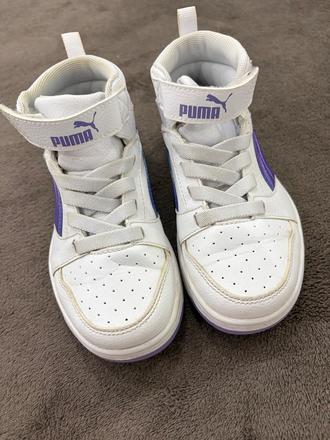 Botasky puma, puma,28