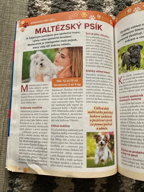 425 skvělých tipů, jak si vybrat nejlepšího pejska, 