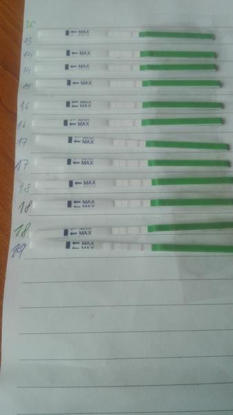 Ovulačné testy, viac pozitívnych testov počas cyklu