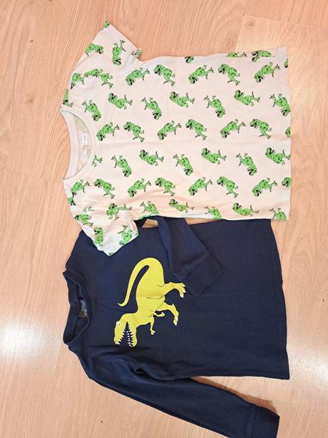 Tričká dinosaurus, h&m,116