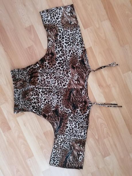 Leopardi topik - fierli, l