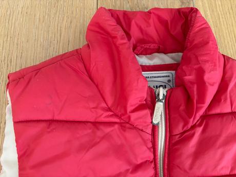 Vesta primigi, primigi,116