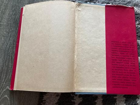 Zuzka zguriška bičianka z doliny (1966),