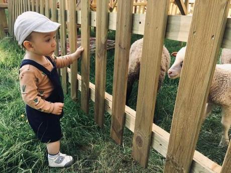 Trakové kraťasky, h&m,80