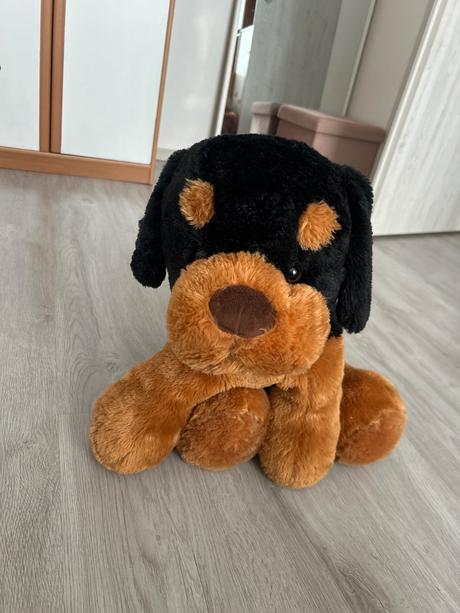 Plyšák psik veľký, 