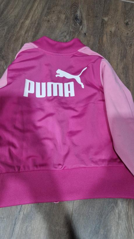 Puma súprava, puma,92