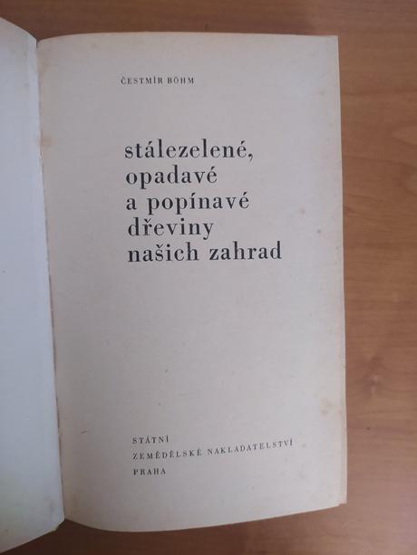 Stále zelené, opadavé a popínavé dreviny našich zá, 